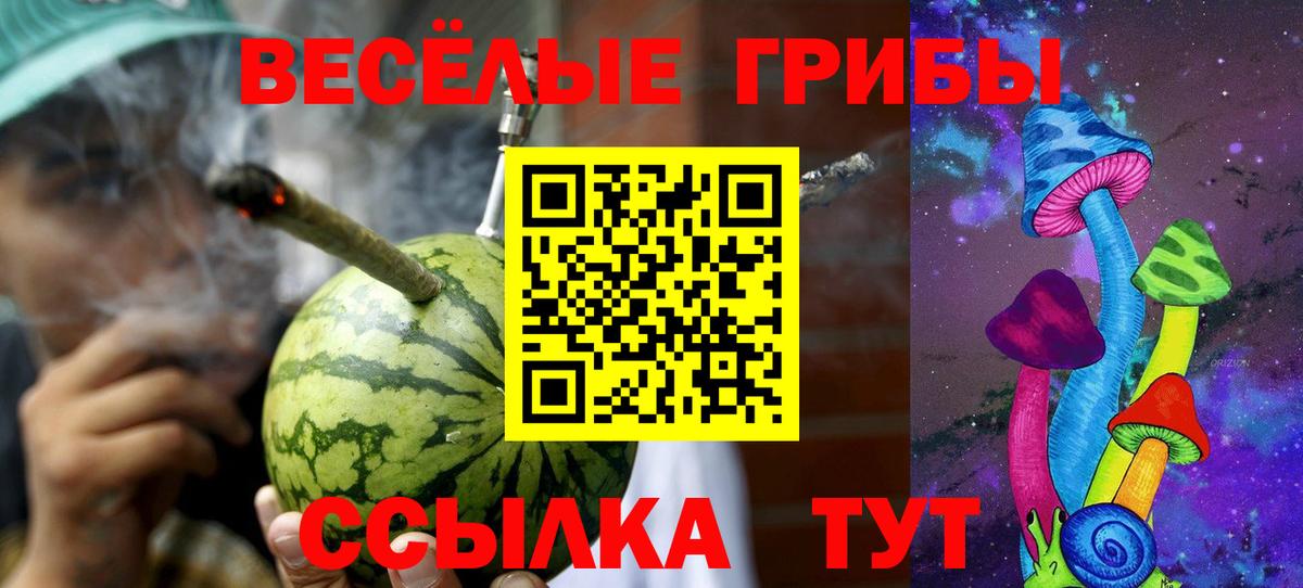 Псилоцибиновые грибы Psilocybine cubensis Дербент